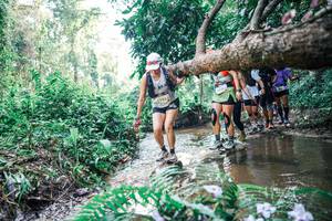 BIB: 
                            <button type="button" onclick="openModal(25457852)" class="btn btn-primary btn-sm float-right btn-popup" data-toggle="modal" data-target=".modal-high-quality">
                        <i class="fas fa-shopping-cart"></i> Add to Cart
                    </button>
                                            <button type="button" onclick="isThisMe(25457852, true)" class="btn btn-success btn-sm float-right btn-popup btn-isme hidden" data-toggle="tooltip" data-placement="bottom" title="นี่คือรูปของคุณใช่ไหม คลิกที่นี่เพื่อเอาเข้าอัลบั้ม">
                        <i class="fas fa-plus"></i> Add to album
                    </button>
                    <button type="button" onclick="isThisMe(25457852, false)" class="btn btn-warning btn-sm float-right btn-popup btn-isnotme hidden">
                        <i class="fas fa-ban"></i> Remove from album
                    </button>